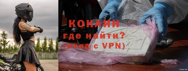 стаф Козельск