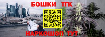 мескалин Камышлов