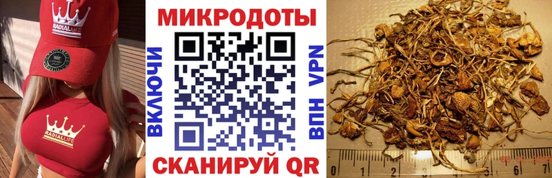Псилоцибиновые грибы Psilocybine cubensis Узловая